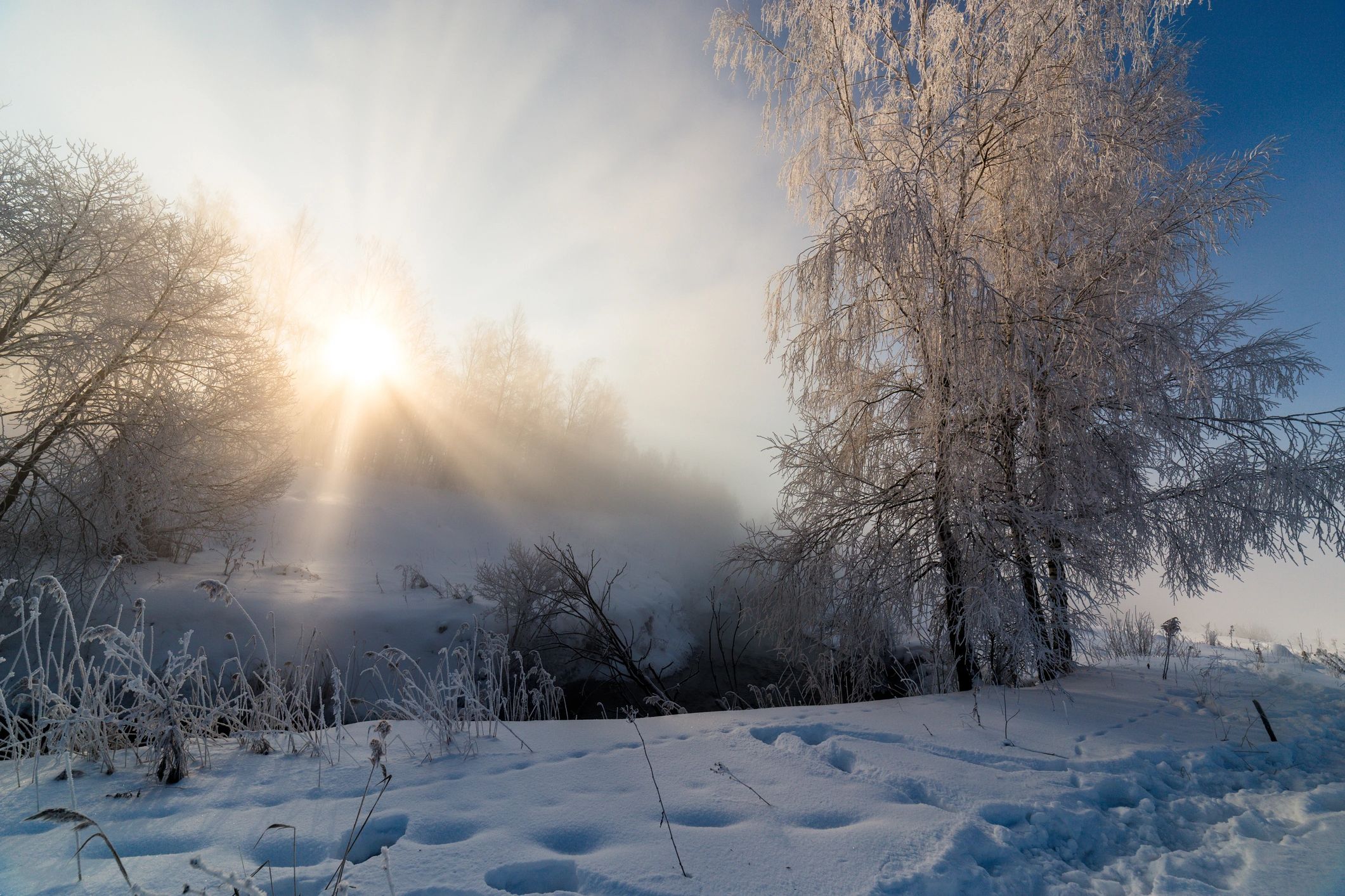 Ethereal landscape with mist and sunlight